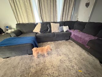 Dark blue sectional need gone now