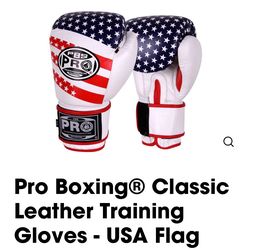 Pro  Classic Leather Training Gloves - USA Flag