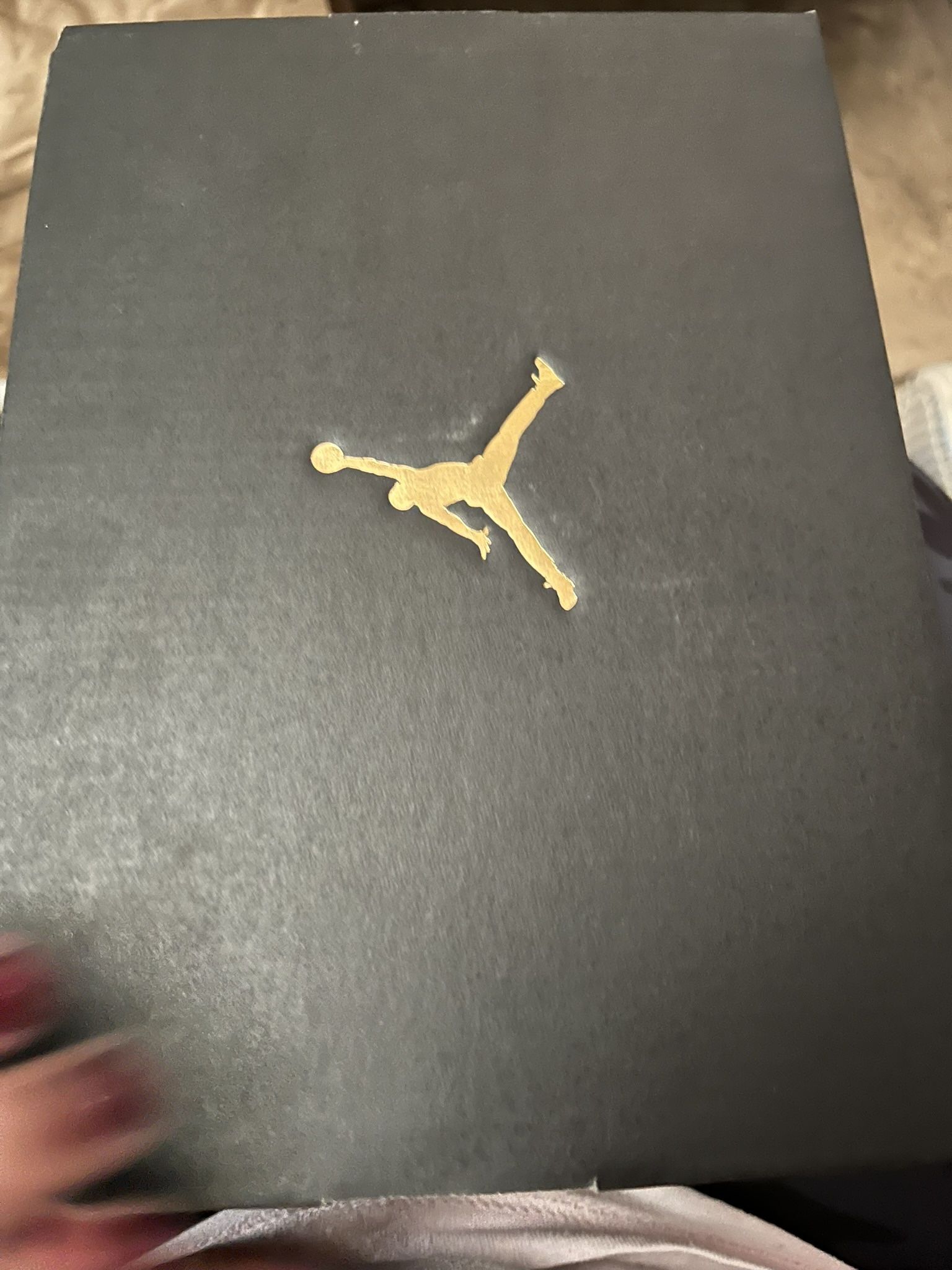 Jordan 11 Retro High Animal Instincts toddlers $65