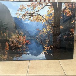 Picture Frame
