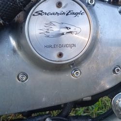 Custom Harley Davidson 1200cc