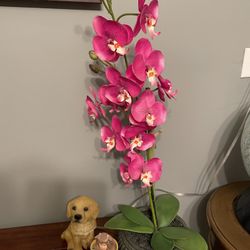House decors $15