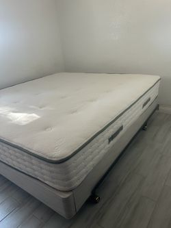 AVOCADO GREEN 11" STANDARD MEDIUM KING MATTRESS