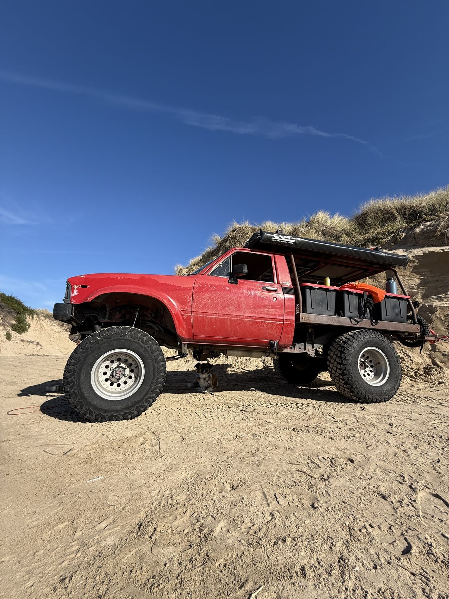 1982 toyota