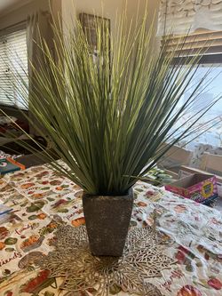 Artificial Plant