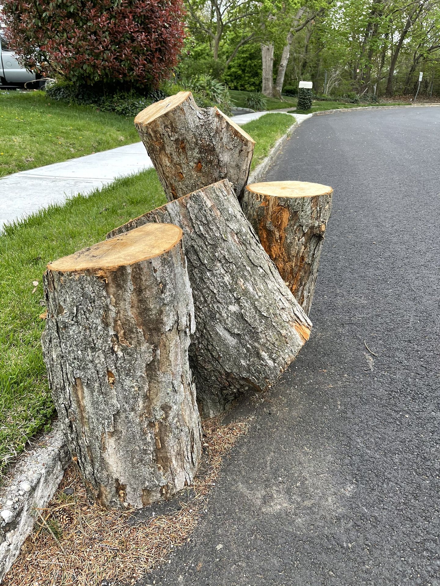 Firewood Free