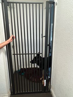 6ft Dog Gate - BEST OFFER