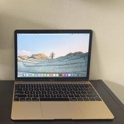 MacBook 2016 Rose Gold 