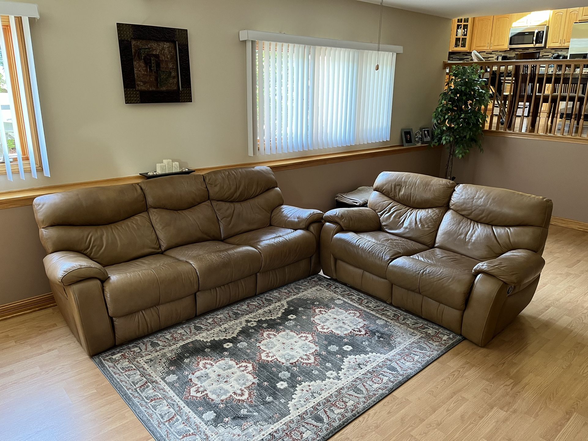 Leather Sofa and Loveseat Couches