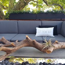 Real Wood Decor With Artofficial Sacculant 