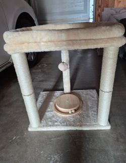 New Cat Tree