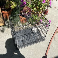 Dog Cage 23w by 17inch H