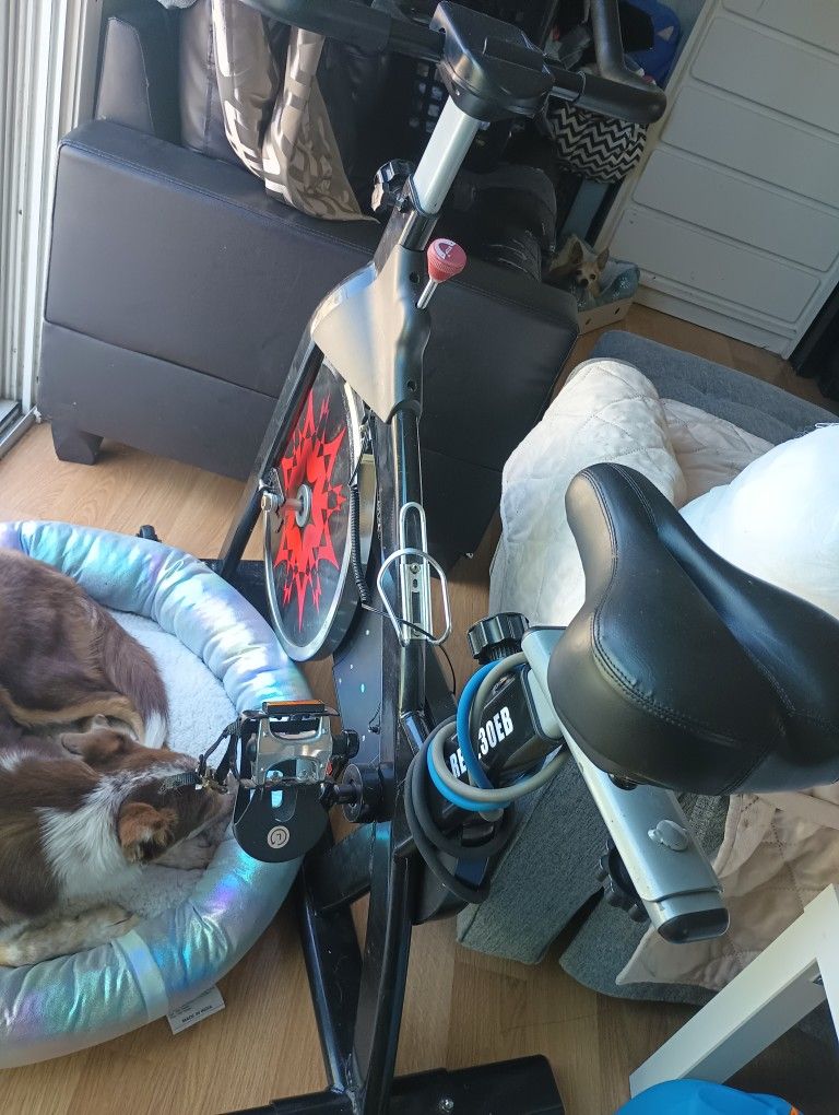 Stationery Bike And Treadmill For Sale.