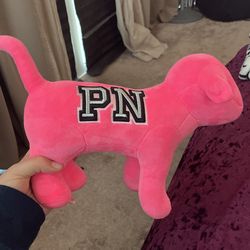 Pink Dog 