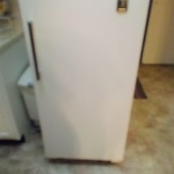 Stand Up Freezer