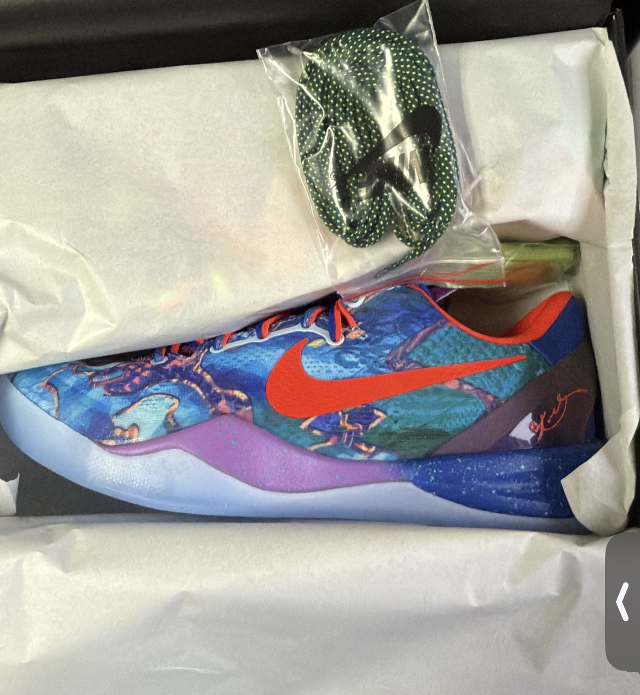 Nike Kobe 8 Potro