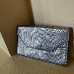 Silver Clutch