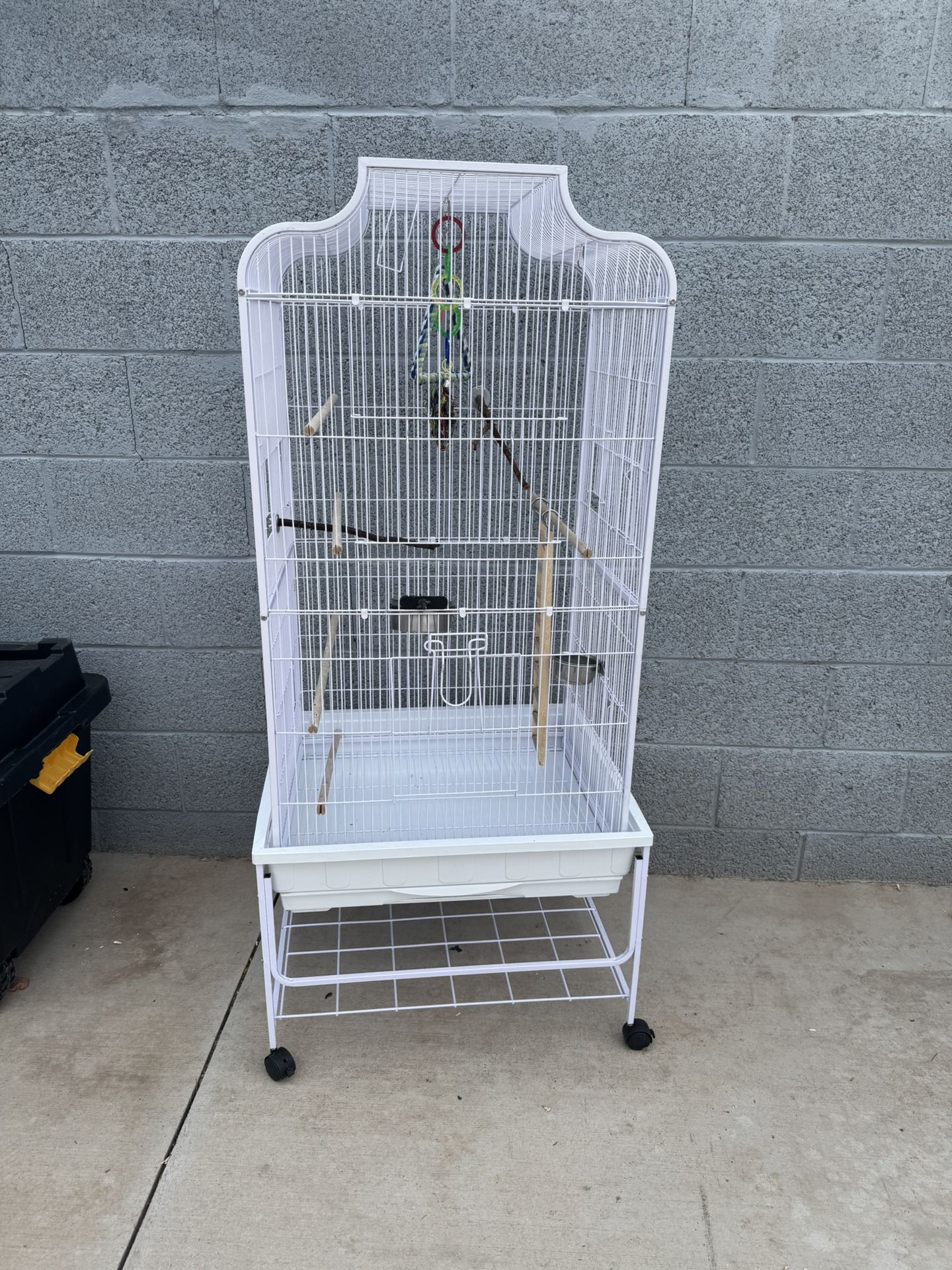 Bird Cage