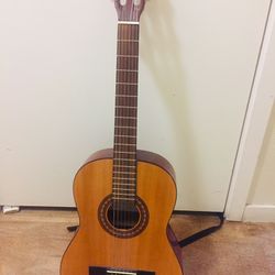 Jasmine Guitar 