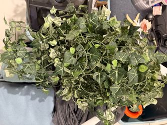 2 pairs of Faux ivy garland @25 ft
