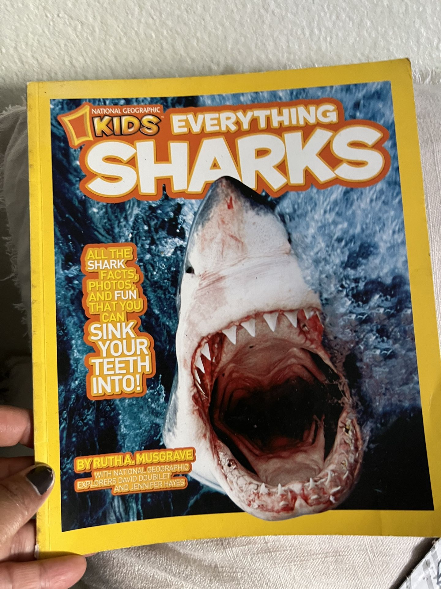 Everything Shark Book