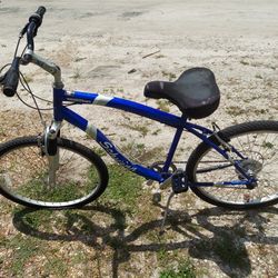 Schwinn 7 Spd Cruiser