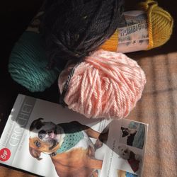 Four Yarn Bundles And Dog Crochet Book