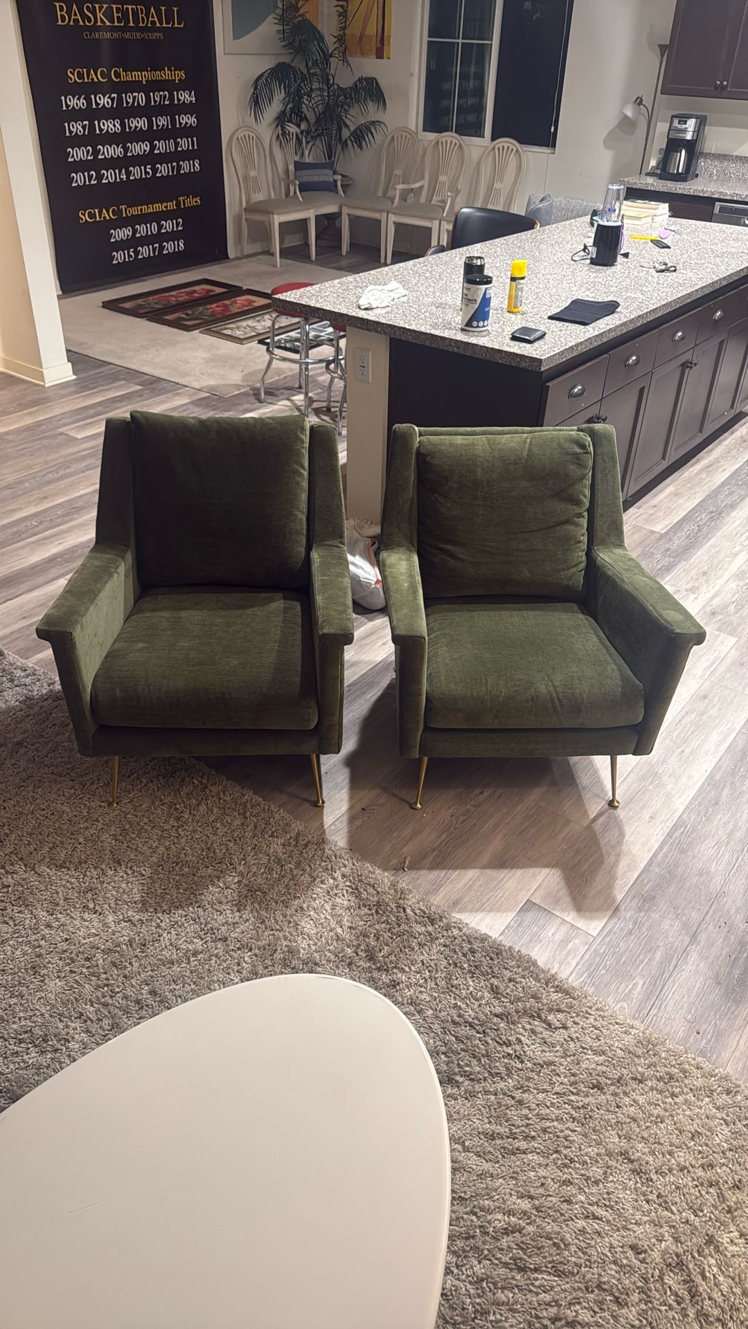 Set of Green Sofa Chairs – Excellent Quality & Comfort