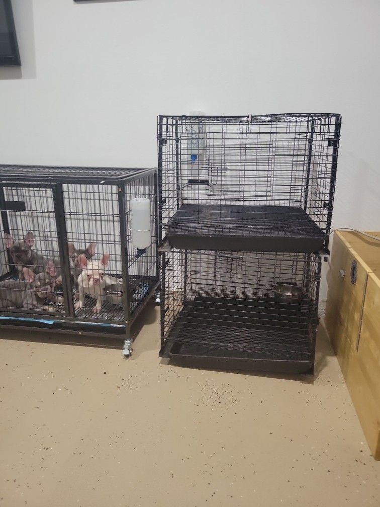Dog Kennels Homey 37 Inch And DuMORĀ 26 Inch