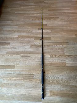 Fishing Pole $30