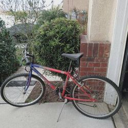 🚴‍♀️