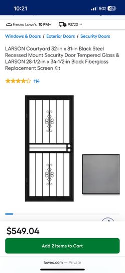  32-in x 81-in Black Steel Recessed Mount Security Door Tempered Glass