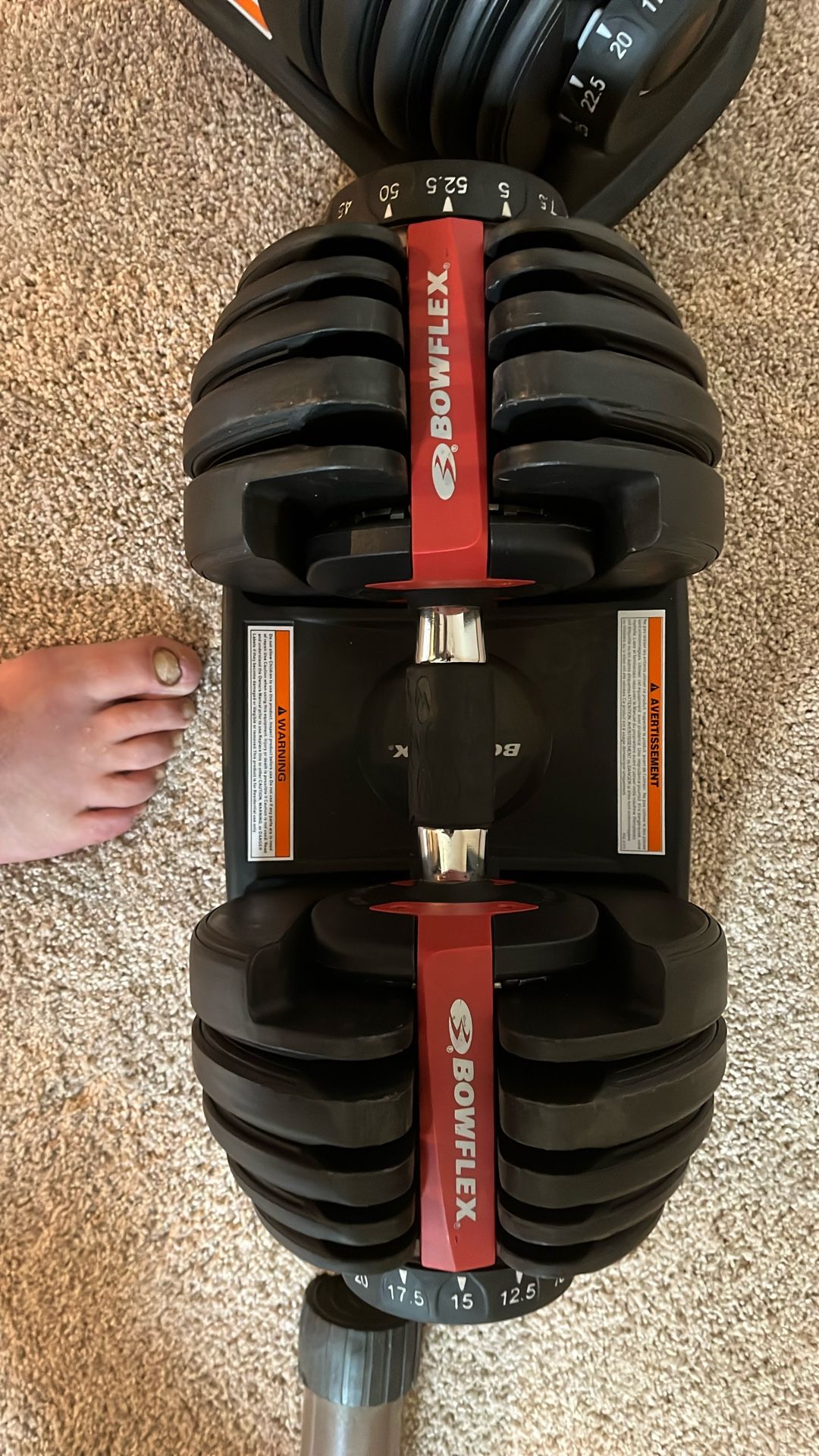 Bowflex dumbbell set