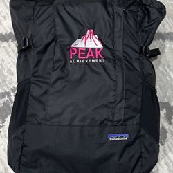 Patagonia Lightweight Travel Tote Pack
