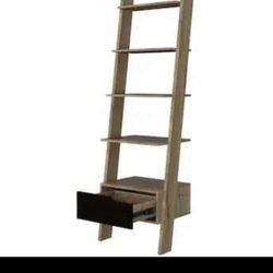 Aster Leaning 5 Shelf Leaning Bookcase Ladder