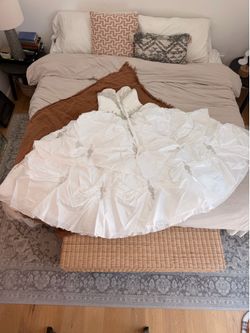 Quinceañera Dress size 14-16