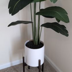 5' Faux Palm Tree & Ceramic Plant Pot Set