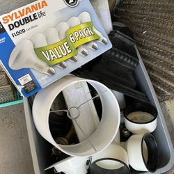 Free Miscellaneous 