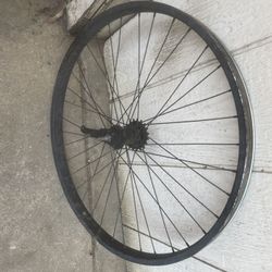 Beach Cruiser Back Rim