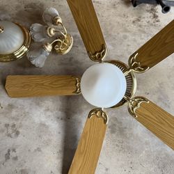 Fans And Lights