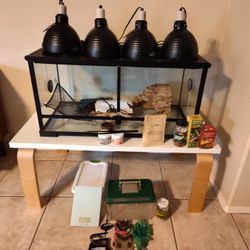 Reptile Encloser With Accessories 