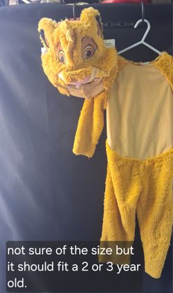 Lion King Costume