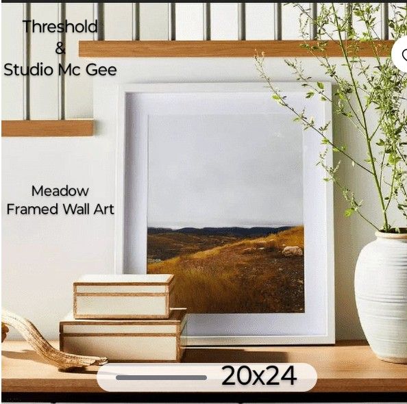 Brand New Threshold Meadow Frame Wall Art