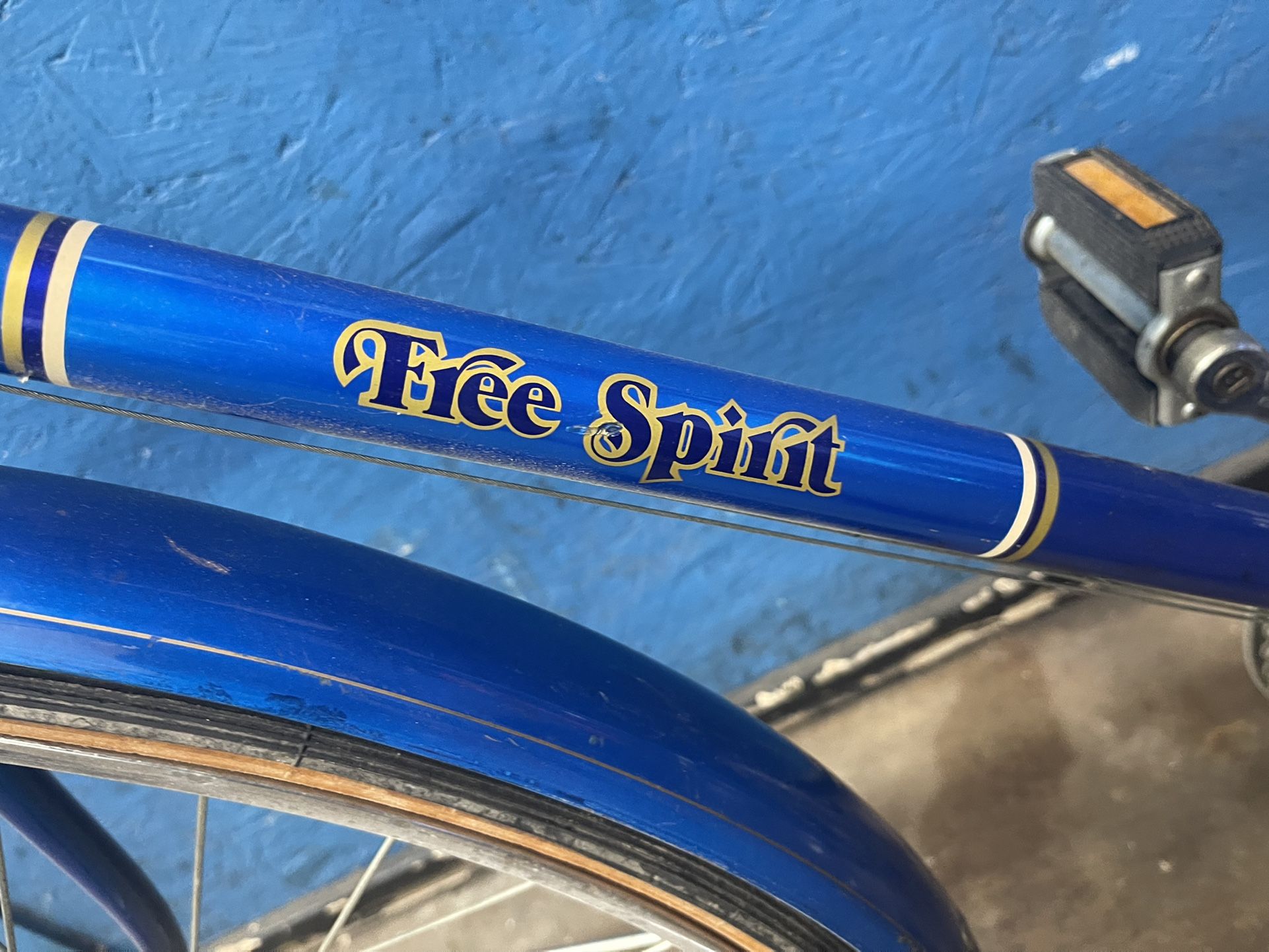 Bicicleta Marca Free Spirit