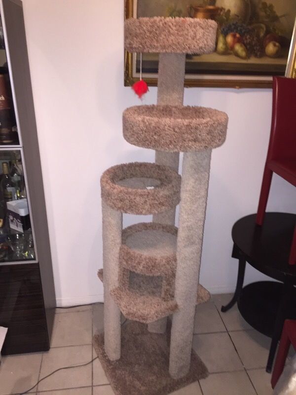 Petco Cat Tree / 6.5 feet tall like new!