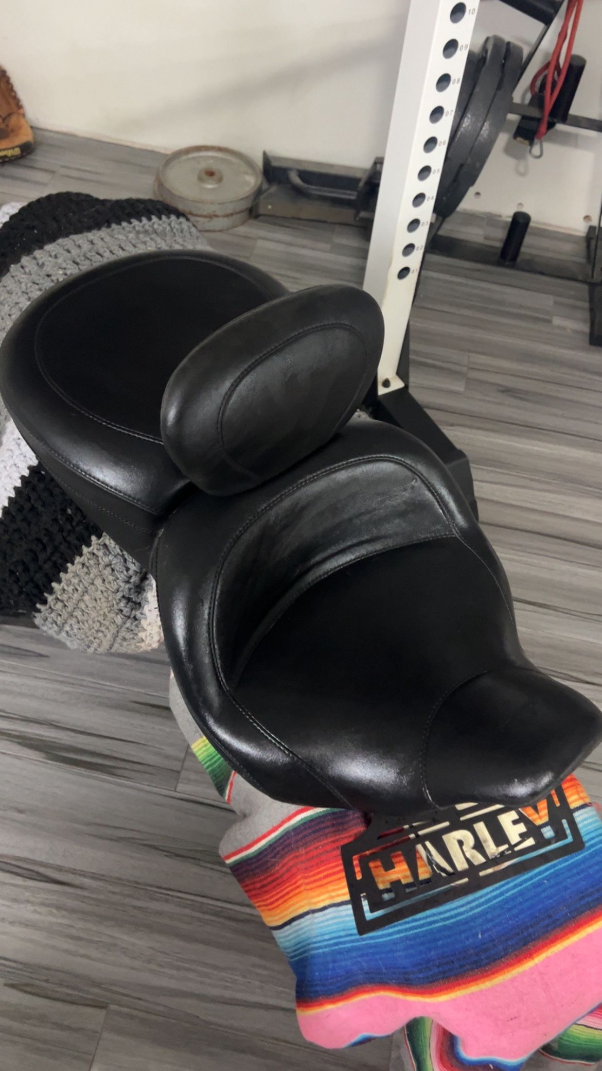 Mustang Seat