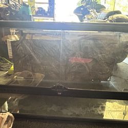 Zoo med reptile tank 40-50 gal