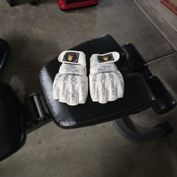 Mma Gloves