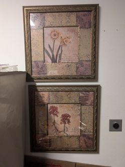 Framed Picture
