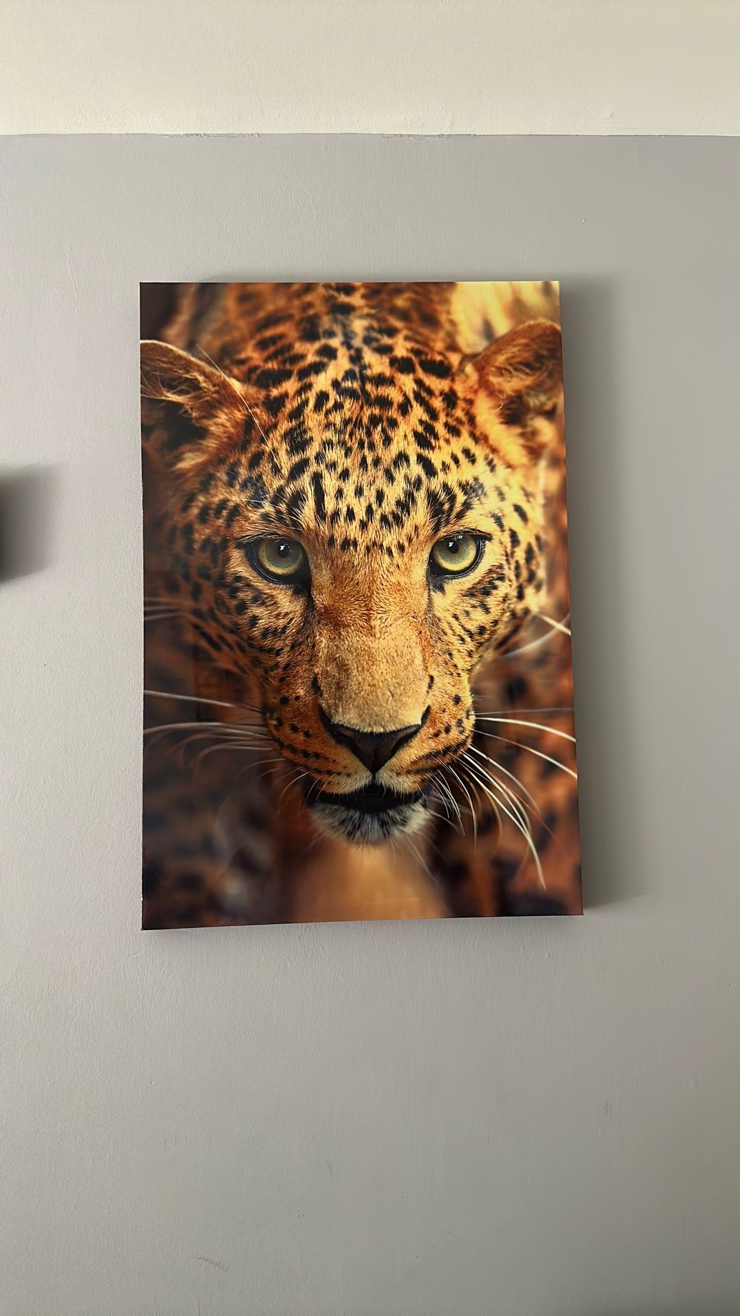 3 paintings for $55